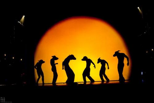 Shadowland, előadás