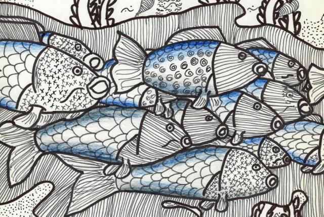 Élet a vízben – rajzpályázati felhívás  kép