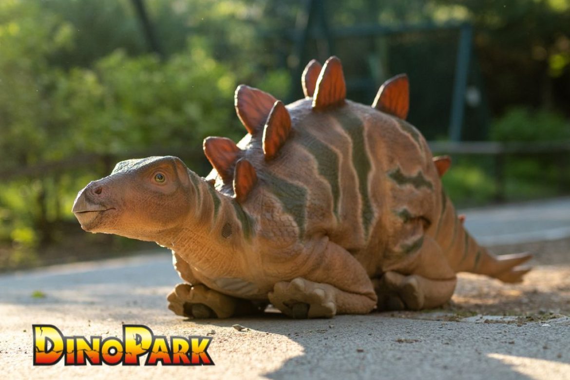 DinoPark KÖKI DinoPark KÖKI