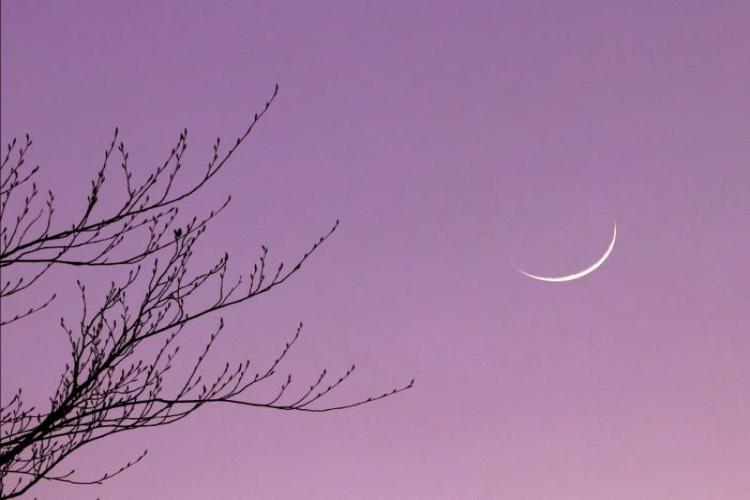 Márciusi égi jelenségek kép Márciusi égi jelenségek kép