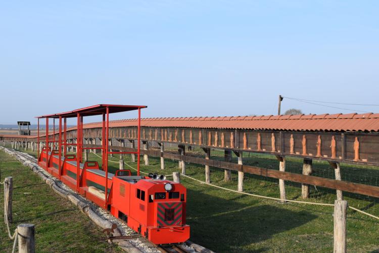 Dinnyési Várpark kép