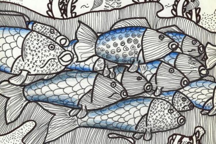 Élet a vízben – rajzpályázati felhívás  kép