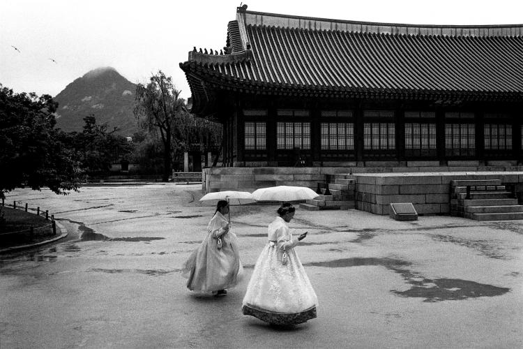 Molnár Zoltán: Korea