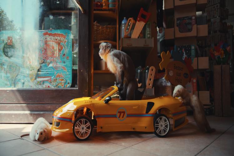 Akiko, a repülő majom kép Akiko, a repülő majom kép